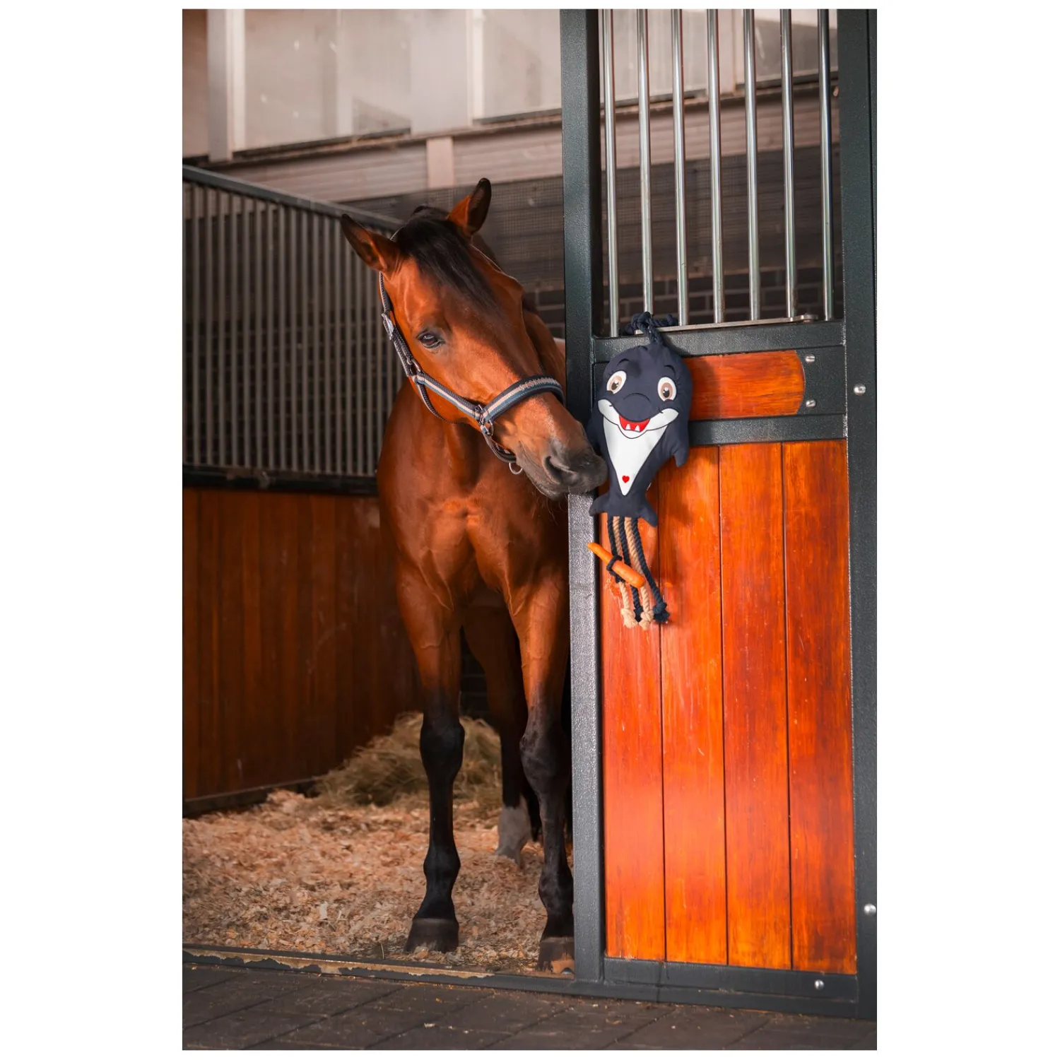 ESKADRON Classic Sports Halfter<Halfter Double Pin