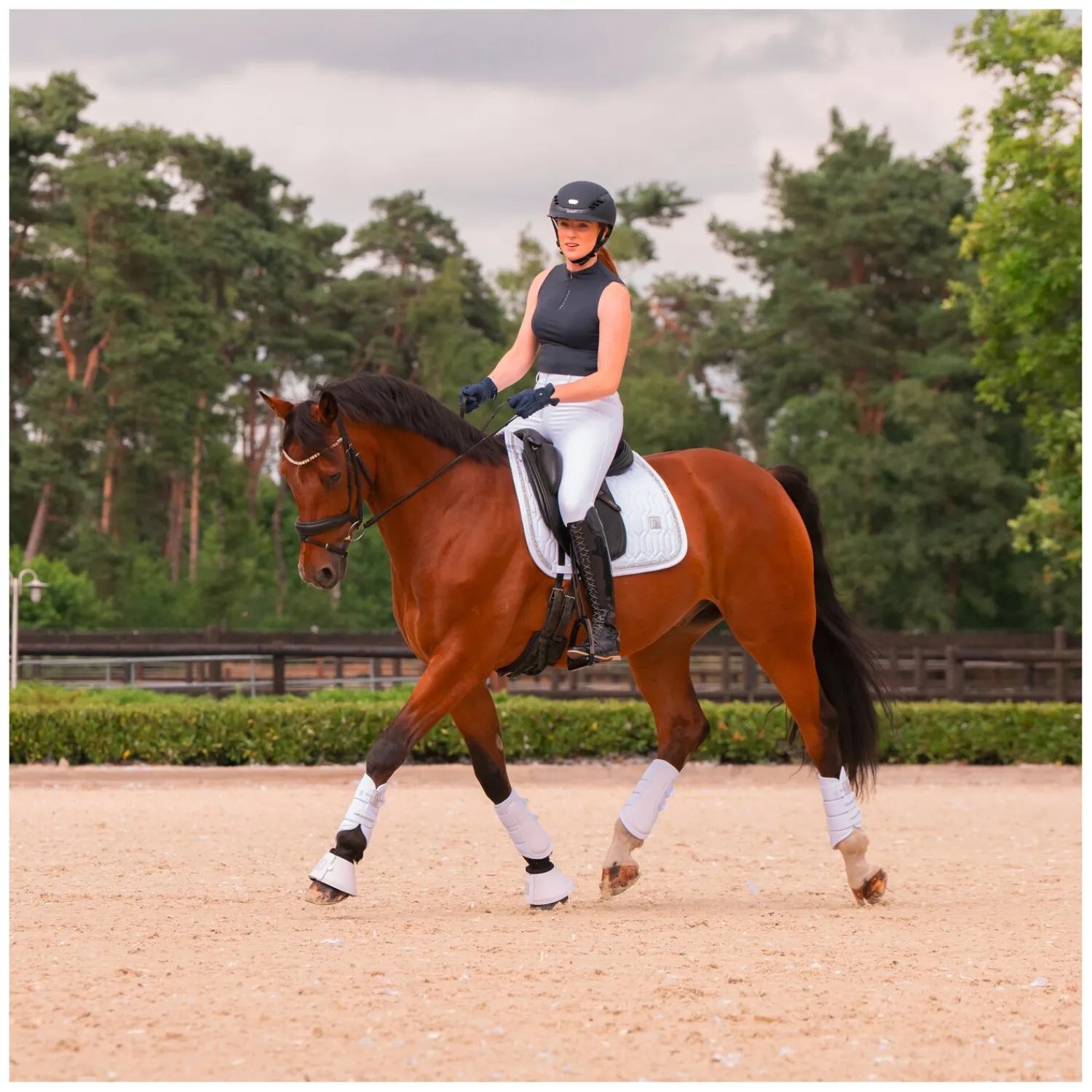 ESKADRON Classic Sports Sättel & Zubehör|Schabracken<Schabracke Softshell Jewel