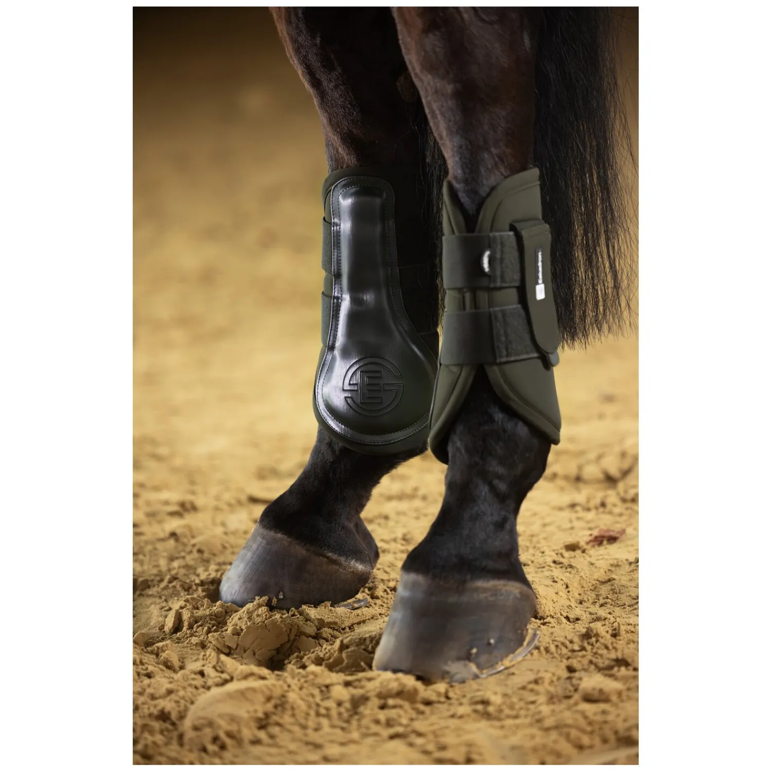 Loesdau Gamaschen<ESKADRON Dynamic Gamaschen Pro Dressage, für die Vorderbeine