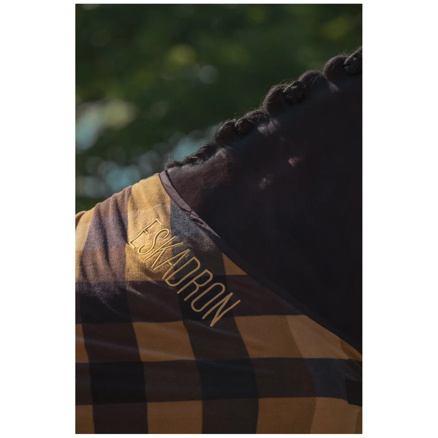 Loesdau Pferdedecken|Transportdecken<ESKADRON Heritage Abschwitzdecke Fleece Check