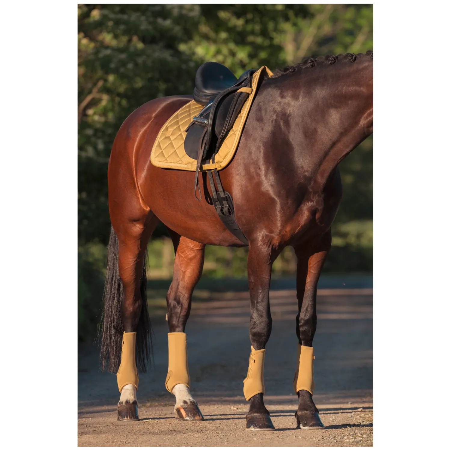 ESKADRON Heritage Gamaschen<Gamaschen Pro Dressage, für Vorderbeine