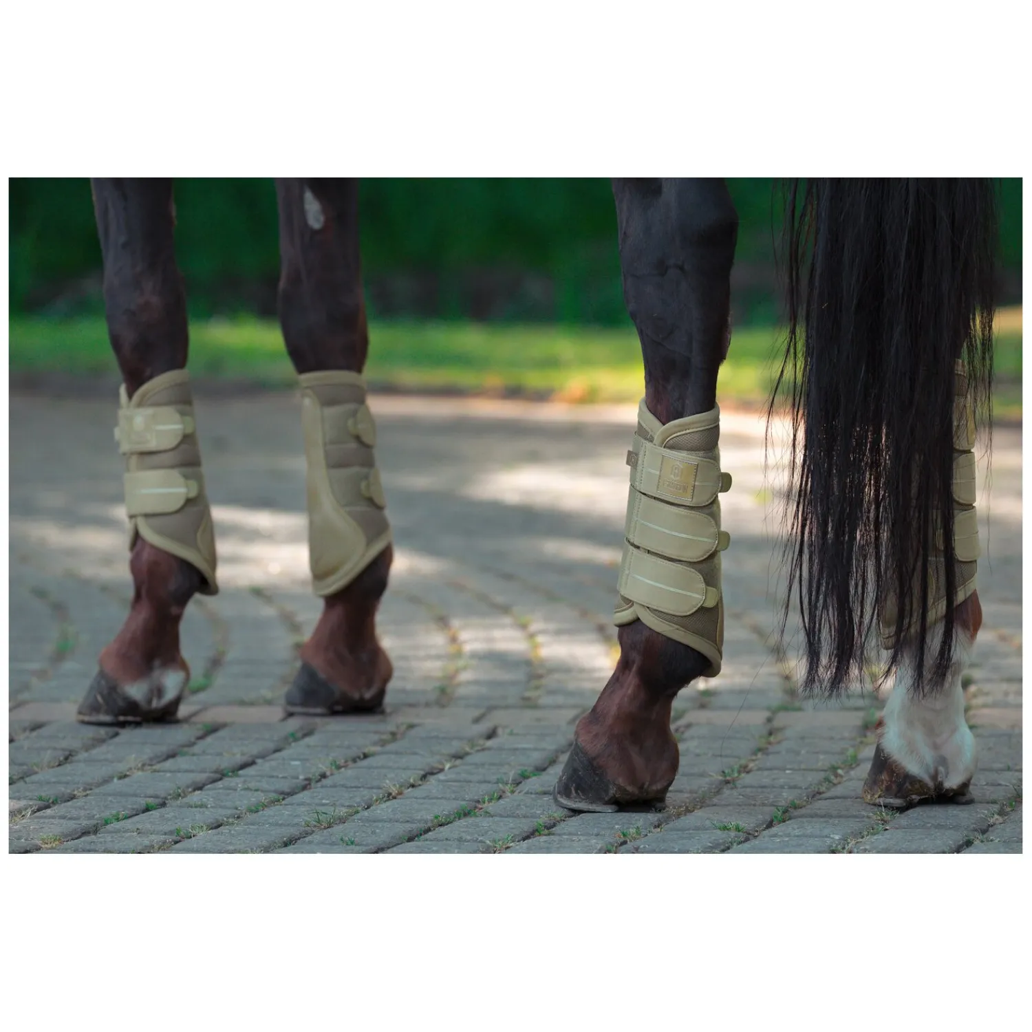 Loesdau Gamaschen<ESKADRON Heritage Gamaschen Mesh, für Vorder- und Hinterbeine