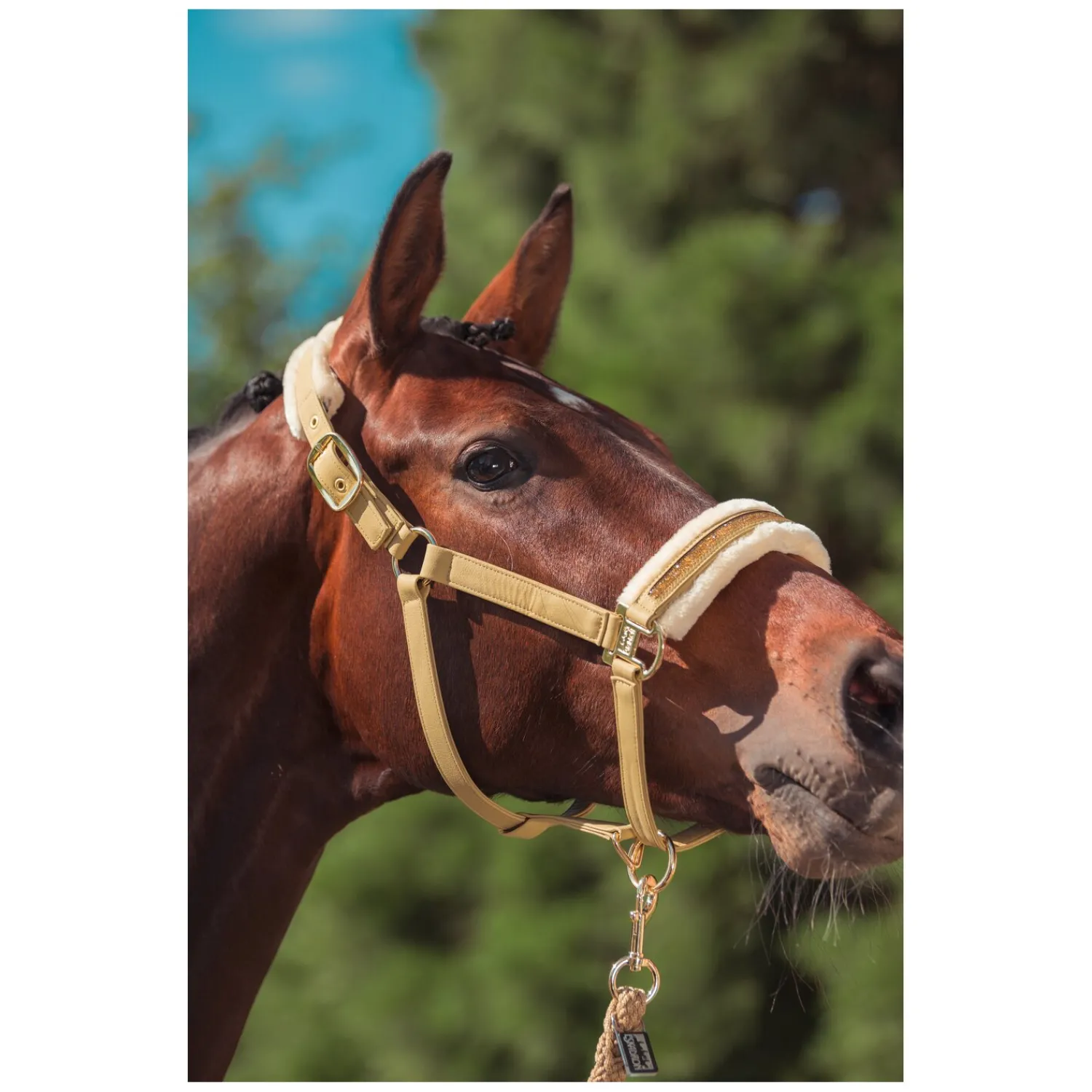 ESKADRON Heritage Halfter<Halfter Faux Leather Jewel FF Double Pin
