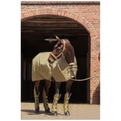 Loesdau Halfter<ESKADRON Heritage Halfter Girth Double Pin