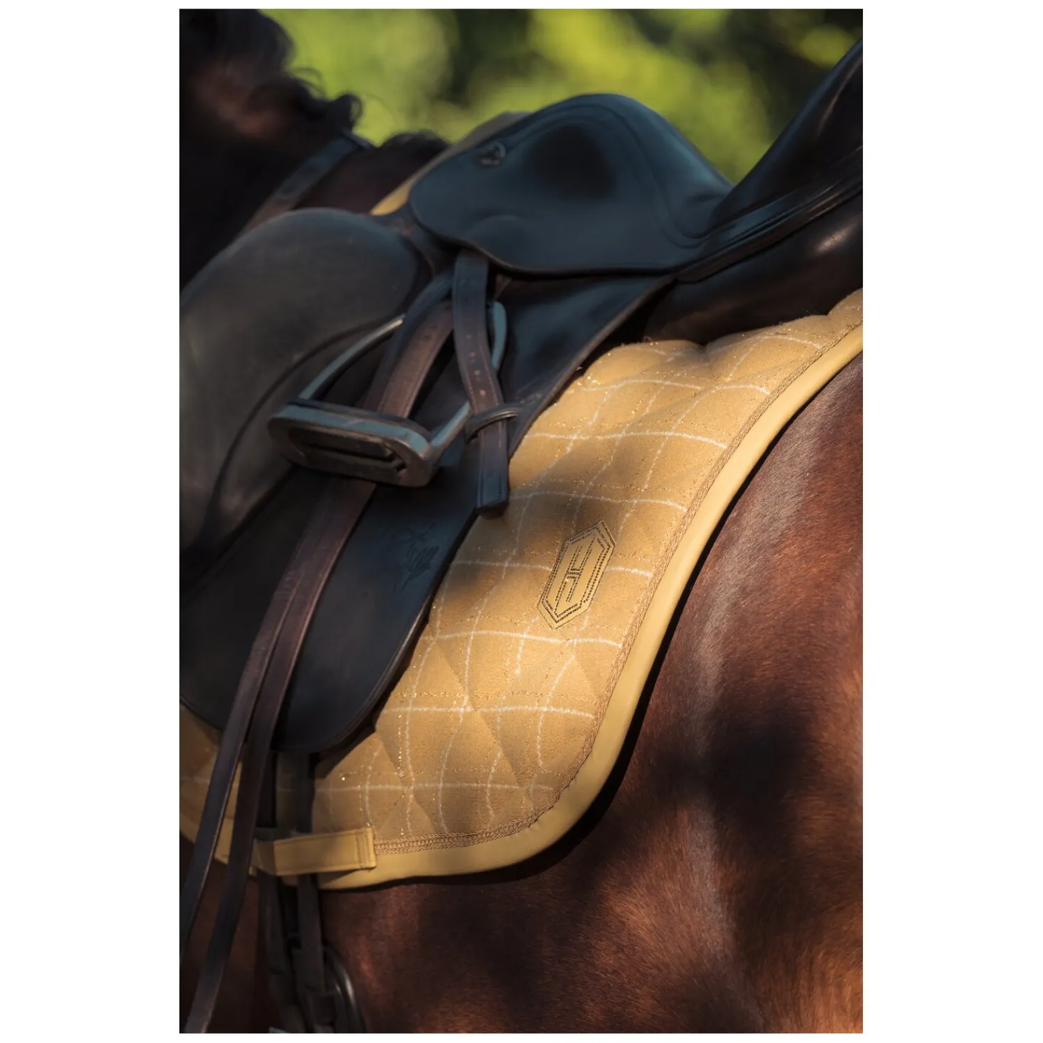ESKADRON Heritage Sättel & Zubehör|Schabracken<Schabracke Glossy