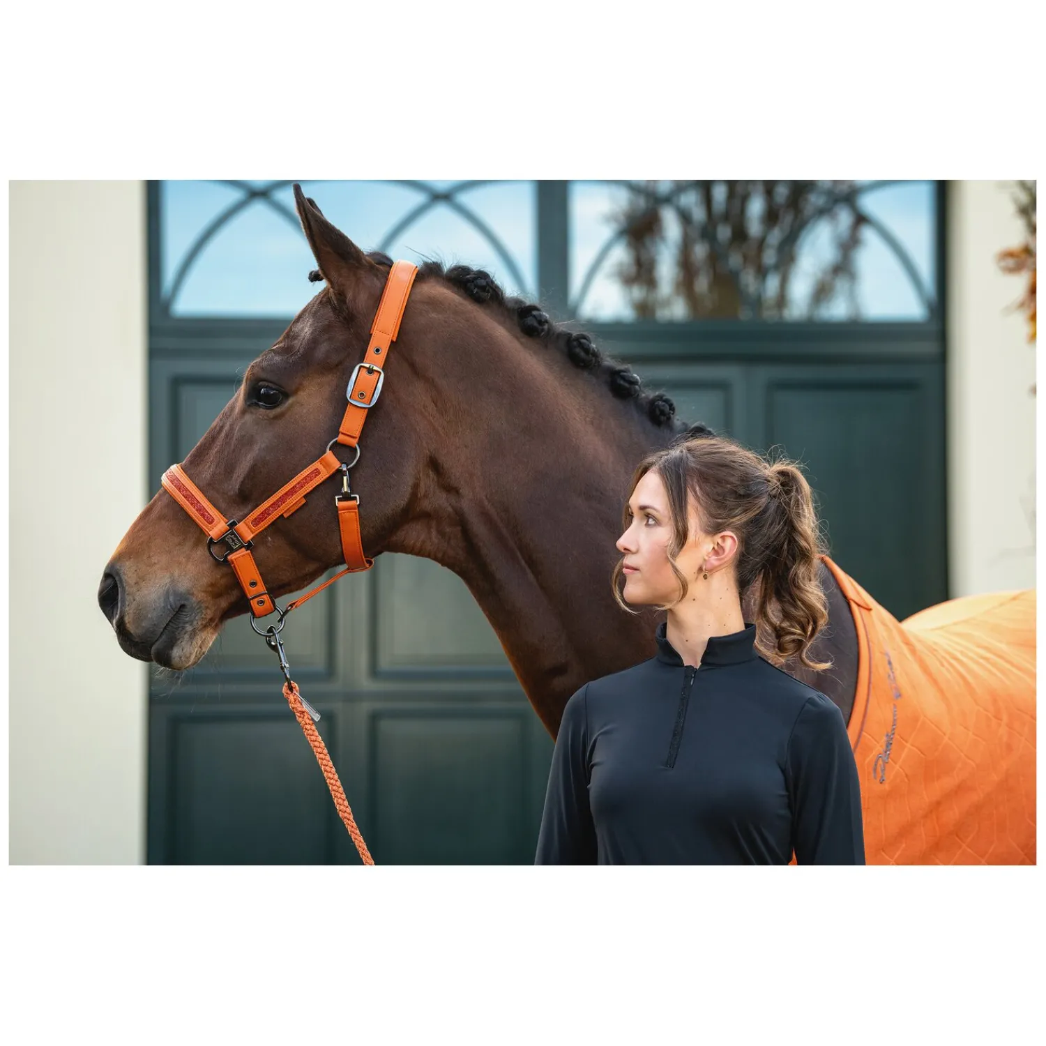 ESKADRON Platinum Halfter<Halfter Faux Leather Jewel Double Pin