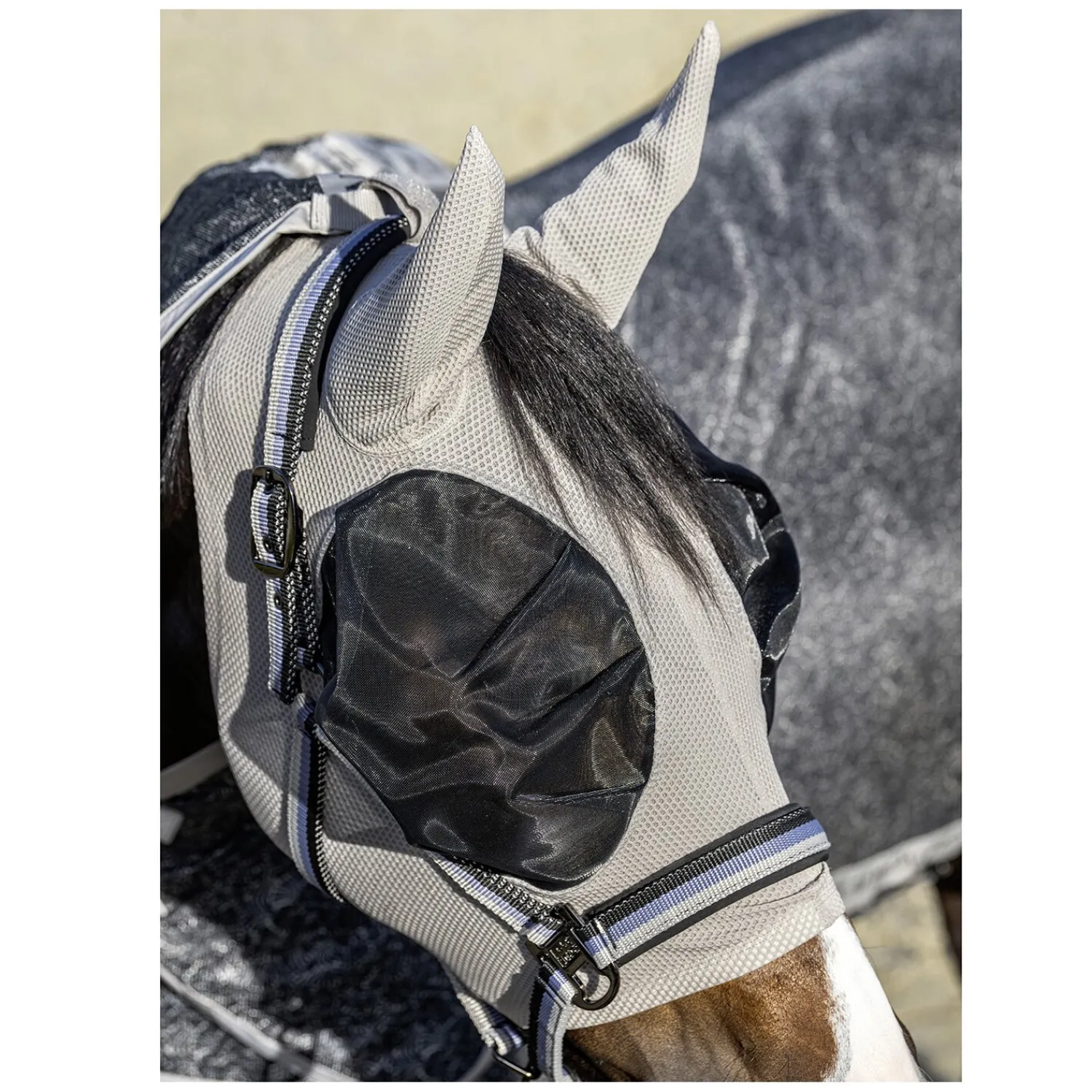 ESKADRON Platinum Halfter<Halfter Lightweight Double Pin