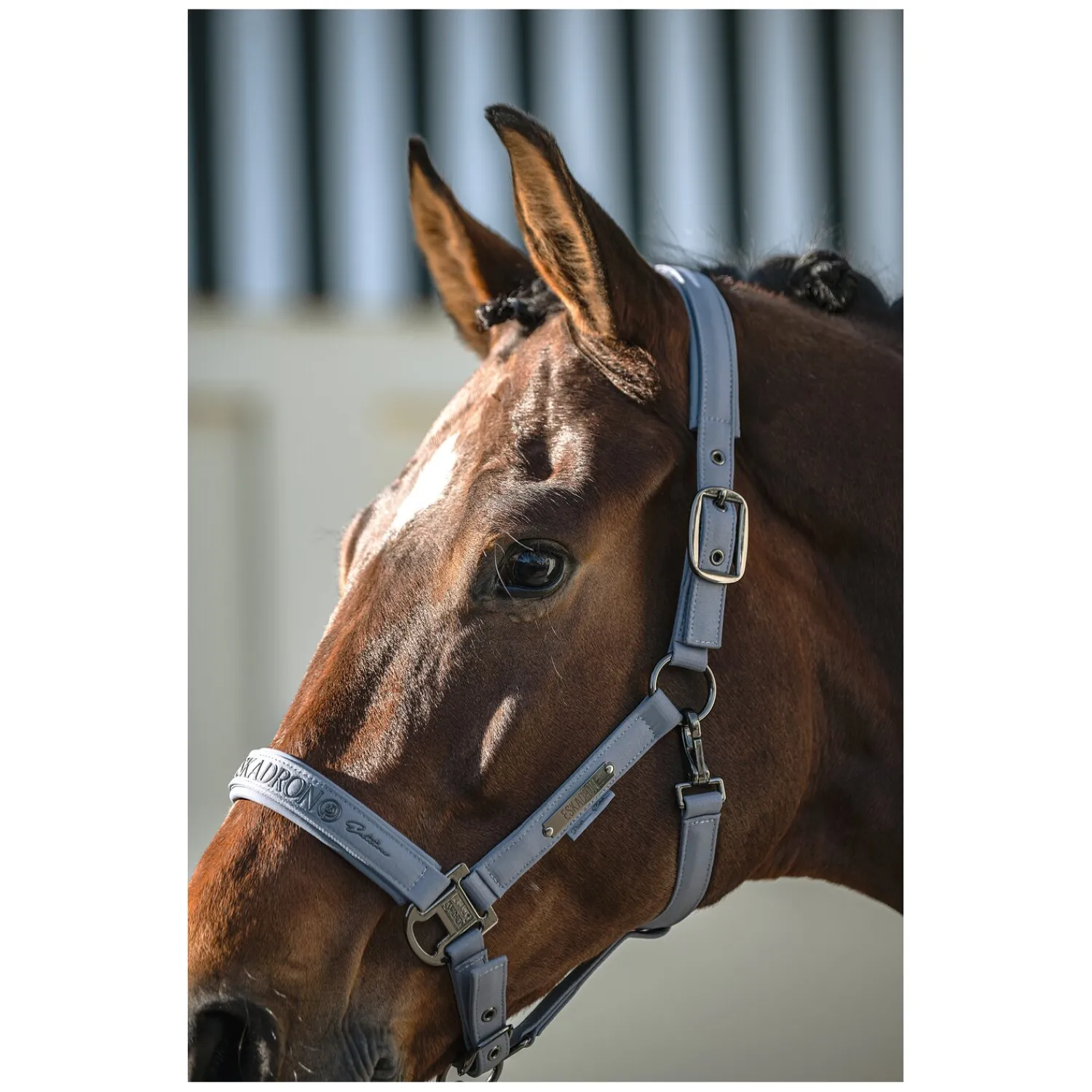 ESKADRON Platinum Halfter<Halfter Sparkle Double Pin