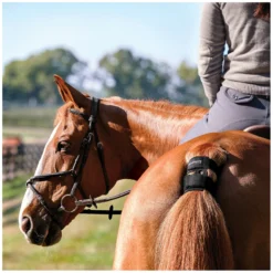 Loesdau Reitunterricht & Trainingszubehör|Funkgeräte<GARMIN Blaze Trainingssensor fürs Pferd