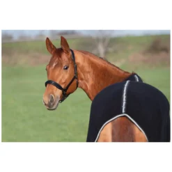Horse-friends Pferdedecken|Transportdecken<Abschwitzdecke Wakefield