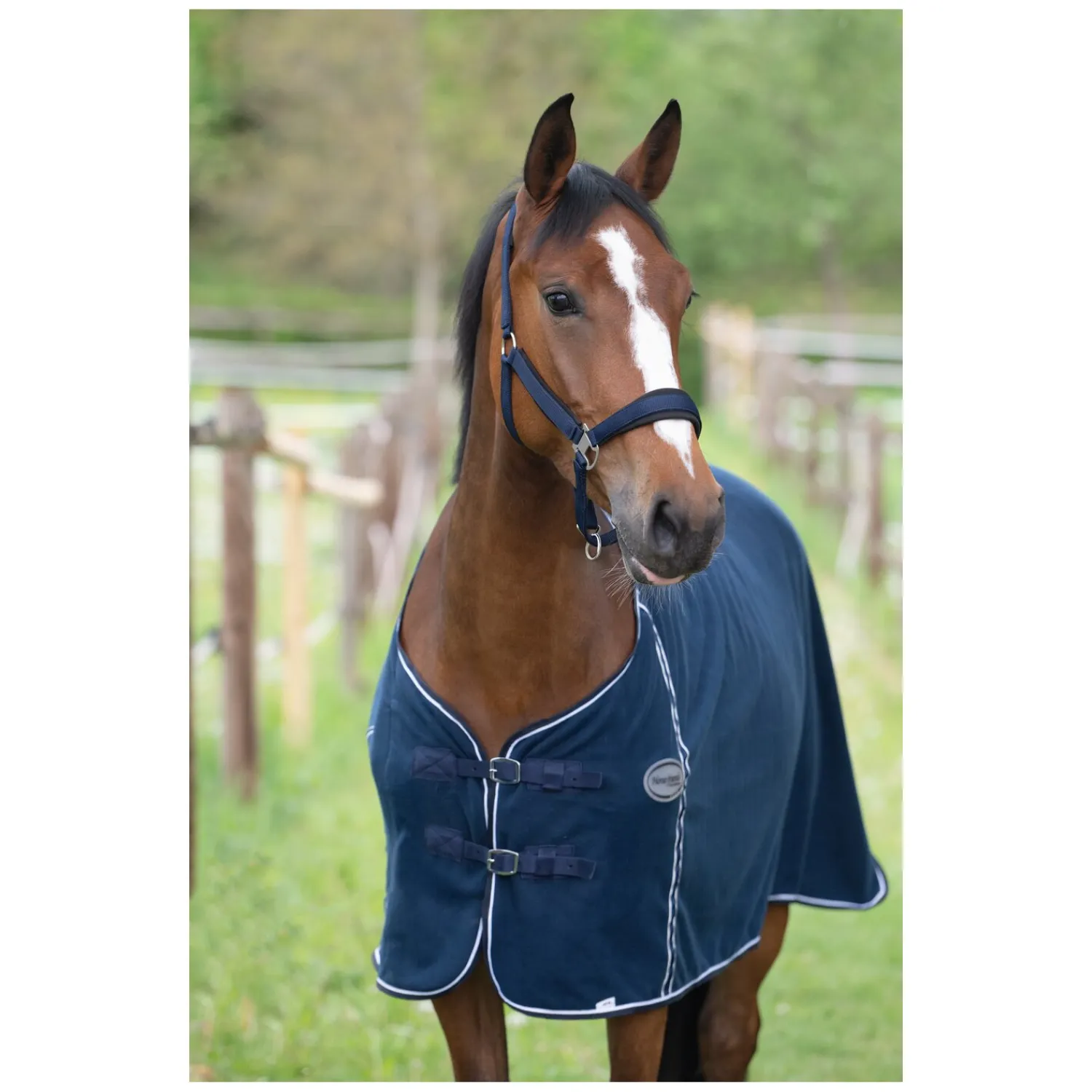 Horse-friends Pferdedecken|Transportdecken<Abschwitzdecke