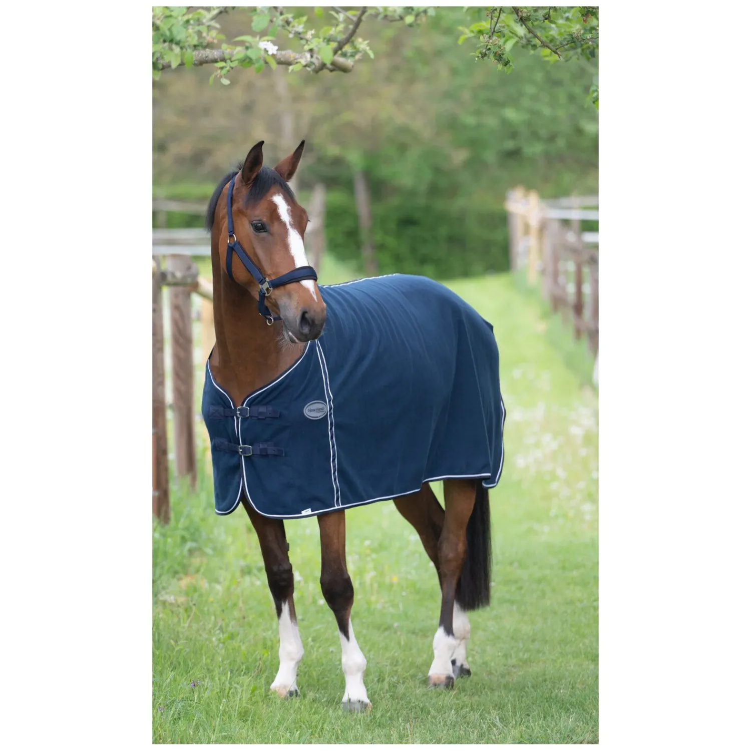 Horse-friends Pferdedecken|Transportdecken<Abschwitzdecke