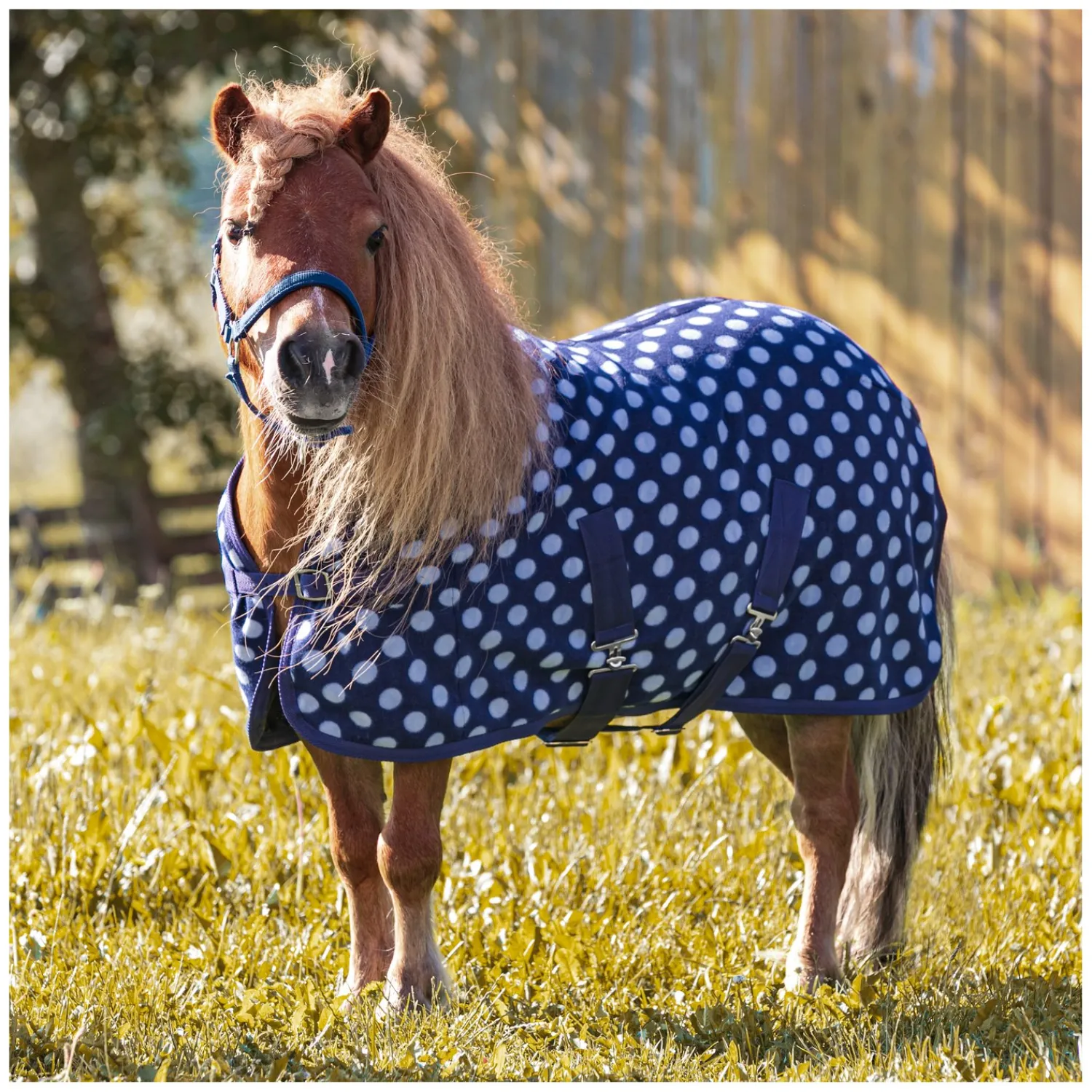 Loesdau Pferdedecken|Transportdecken<Horse-friends Abschwitzdecke
