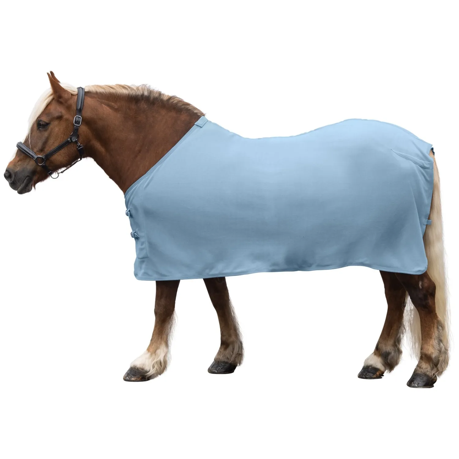 Loesdau Pferdedecken|Transportdecken<Horse-friends Abschwitzdecke XL Dakar