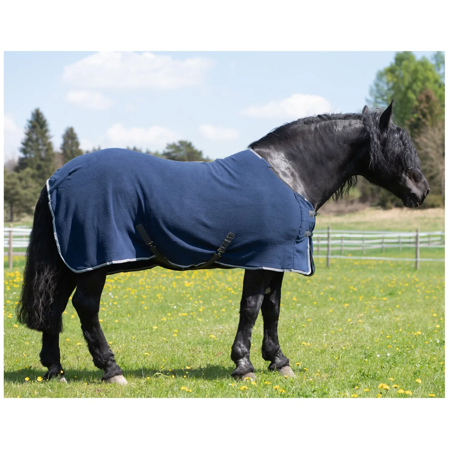 Horse-friends Pferdedecken|Transportdecken<Abschwitzdecke Swindon XL
