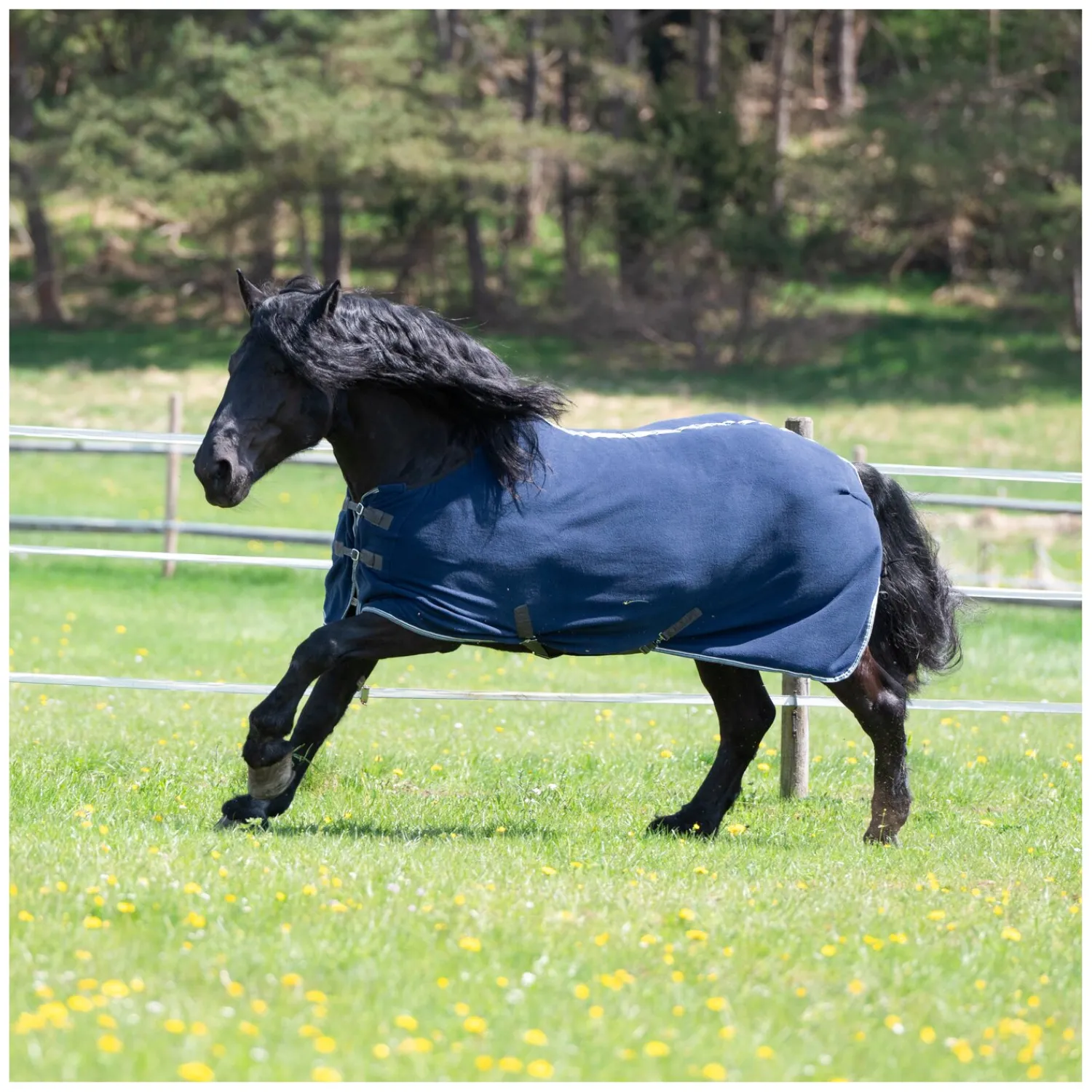 Horse-friends Pferdedecken|Transportdecken<Abschwitzdecke Swindon XL