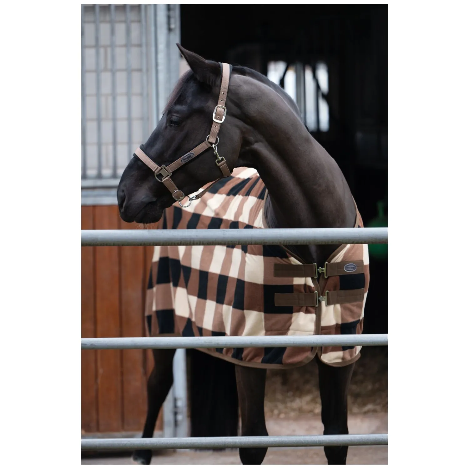 Horse-friends Pferdedecken|Transportdecken<Abschwitzdecke Sheffield