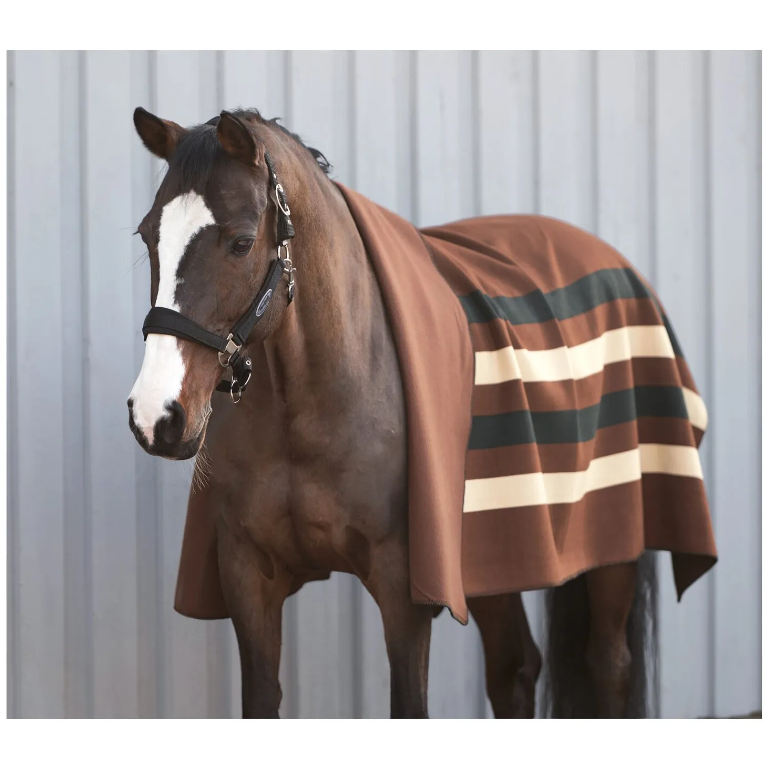 Loesdau Pferdedecken|Transportdecken<Horse-friends Abschwitzdecke Phönix