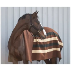 Loesdau Pferdedecken|Transportdecken<Horse-friends Abschwitzdecke Phönix