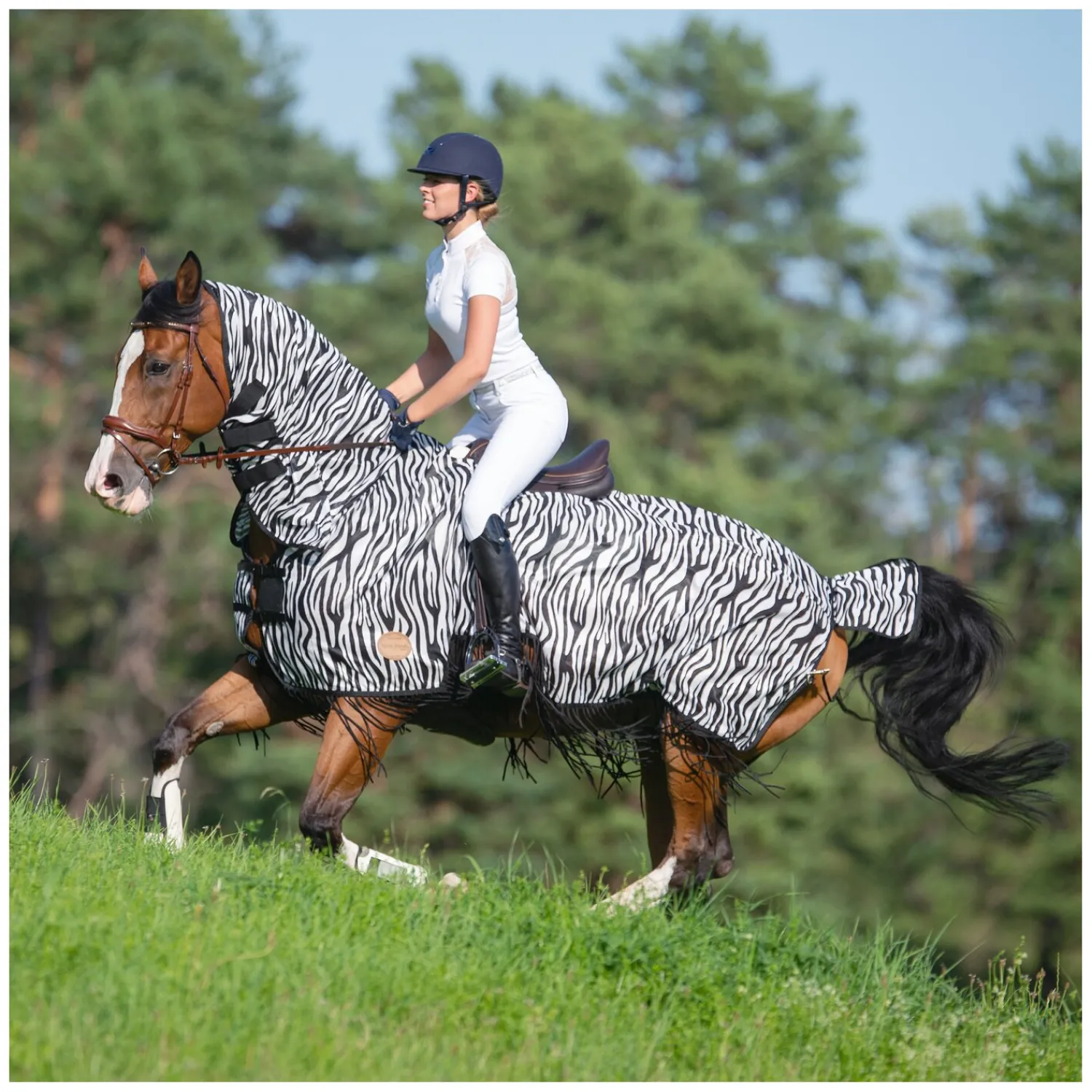 Loesdau Fliegendecken|Pferdedecken<Horse-friends Ausreitdecke Moers mit Fransen