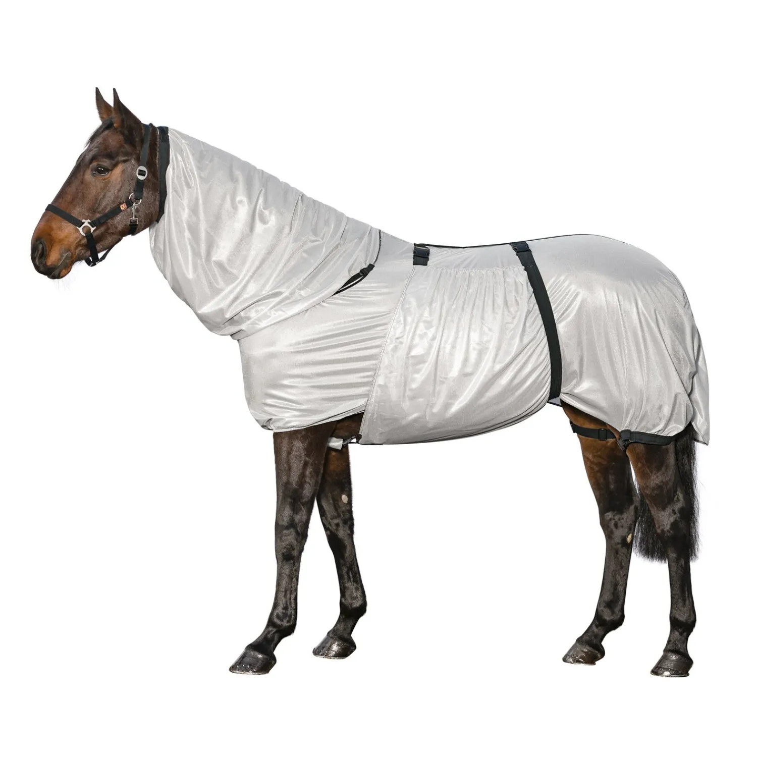 Horse-friends Fliegendecken|Pferdedecken<Ekzemerdecke aus Netzgewebe Bologna