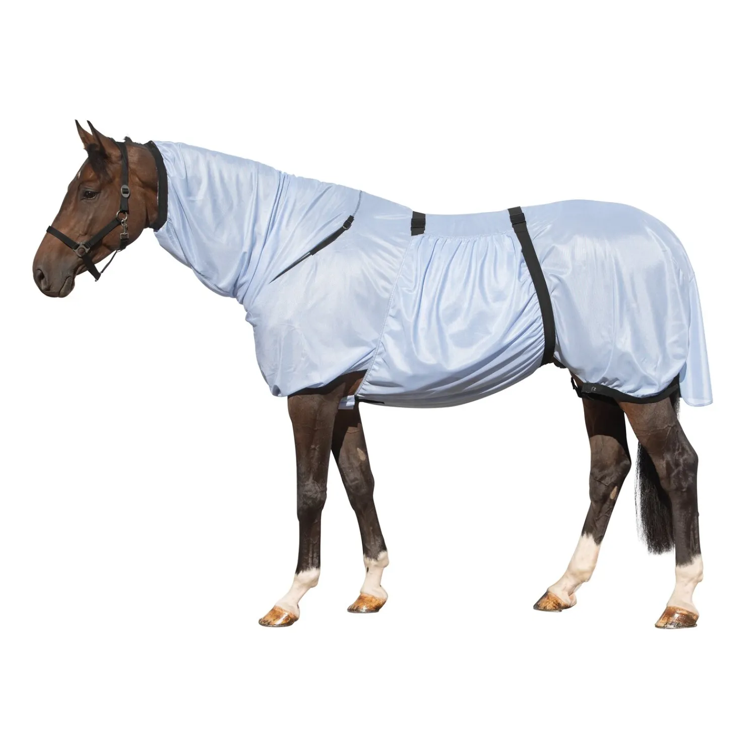 Horse-friends Fliegendecken|Pferdedecken<Ekzemerdecke aus Netzgewebe Bologna