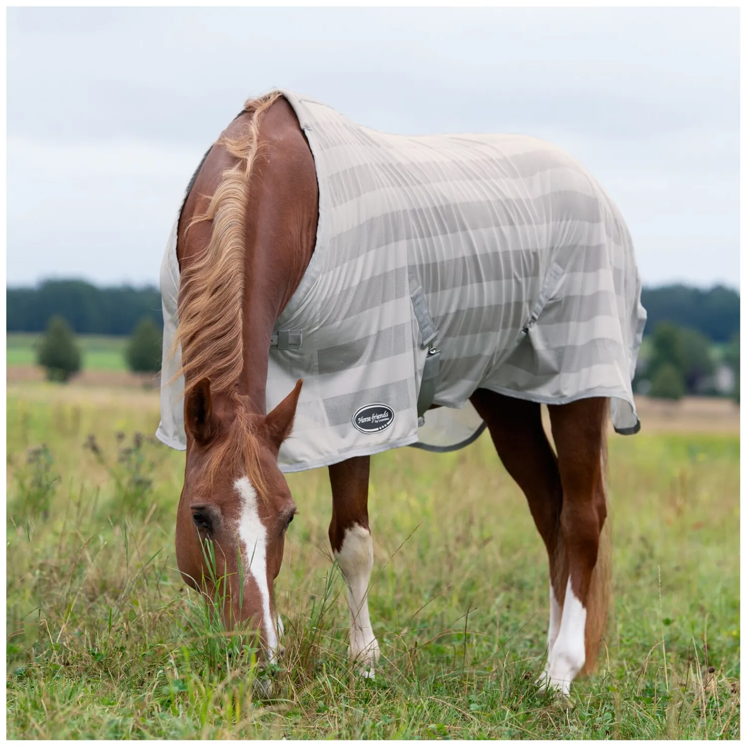 Horse-friends Fliegendecken|Pferdedecken<Fliegendecke Basic