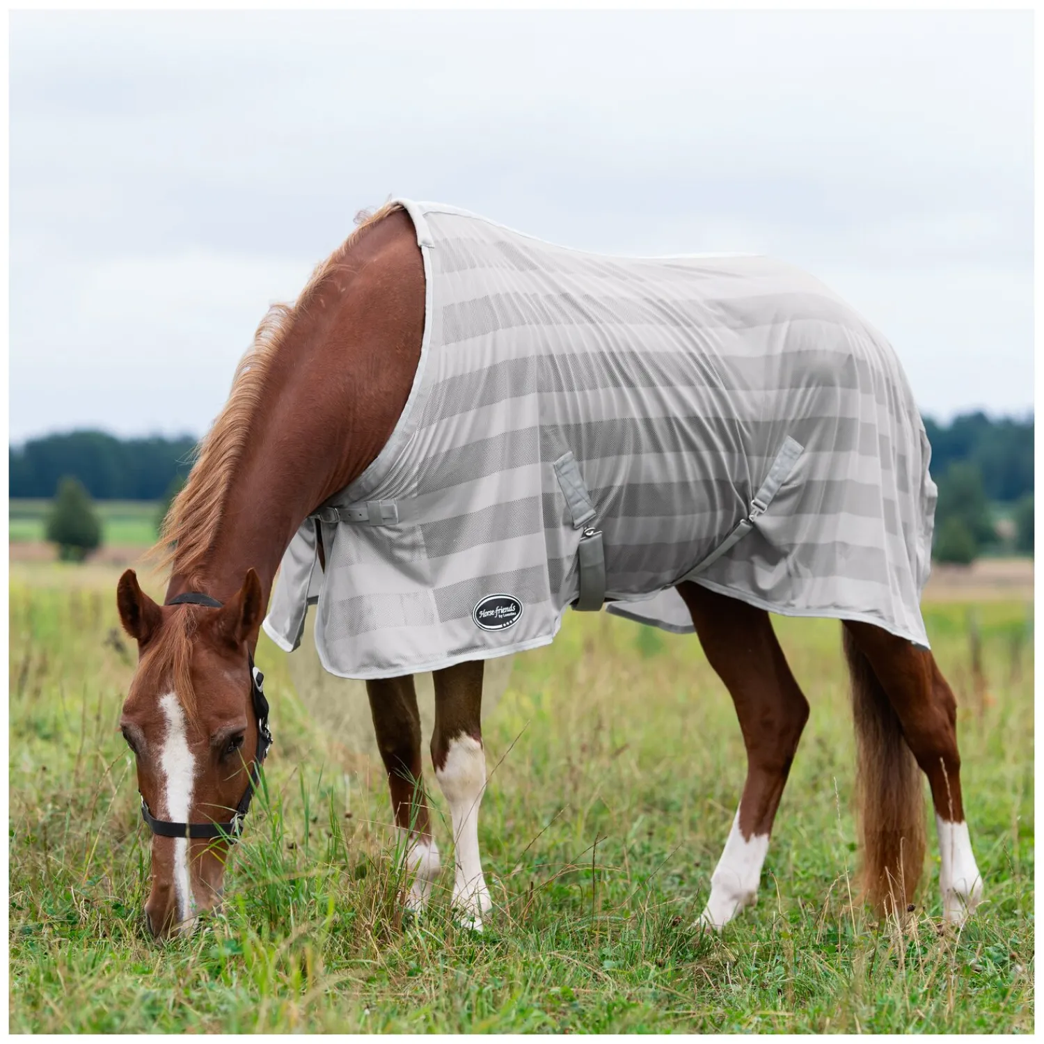 Horse-friends Fliegendecken|Pferdedecken<Fliegendecke Basic
