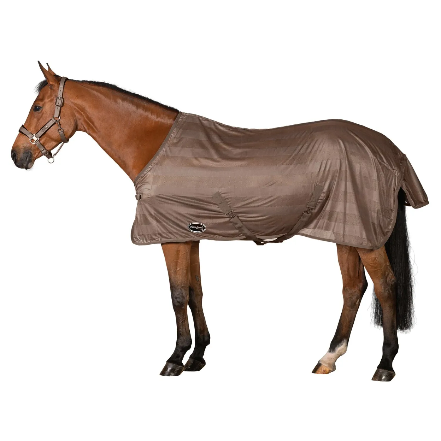 Horse-friends Fliegendecken|Pferdedecken<Fliegendecke Basic