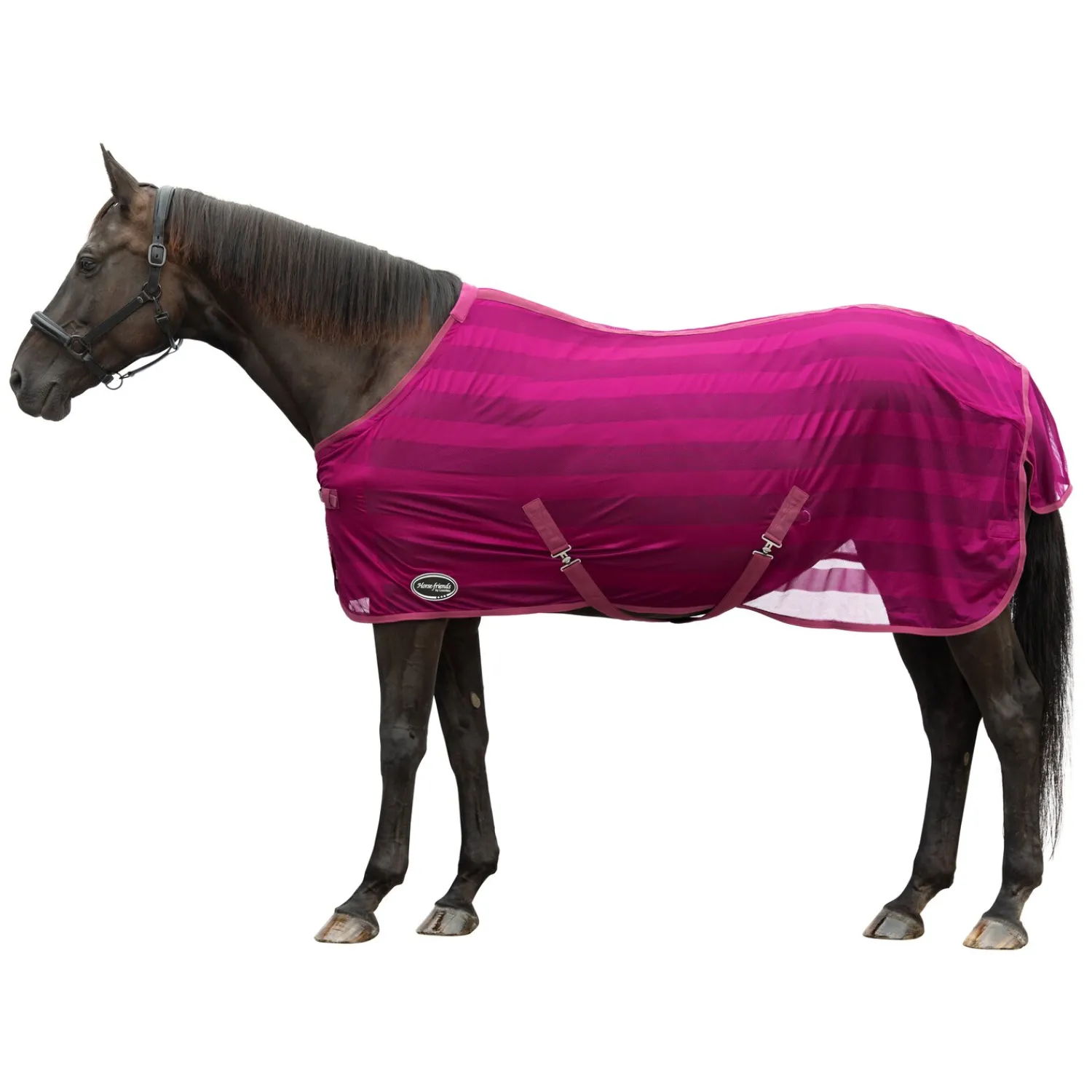 Horse-friends Fliegendecken|Pferdedecken<Fliegendecke Basic