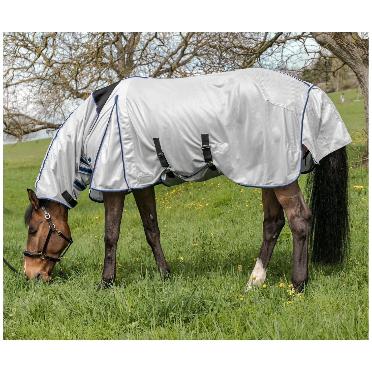 Horse-friends Fliegendecken|Pferdedecken<Fliegendecke Craiova mit elastischem Einsatz