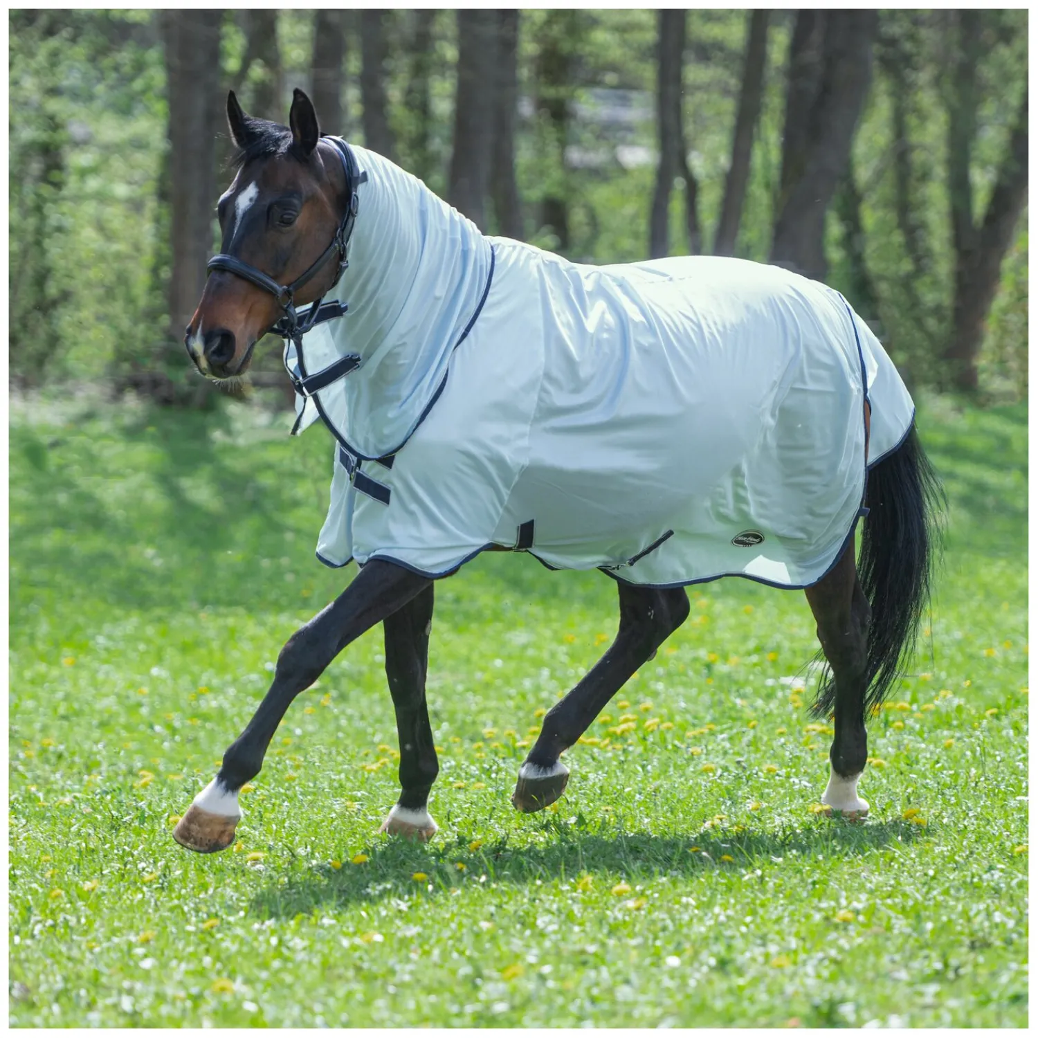 Horse-friends Fliegendecken|Pferdedecken<Fliegendecke Cali