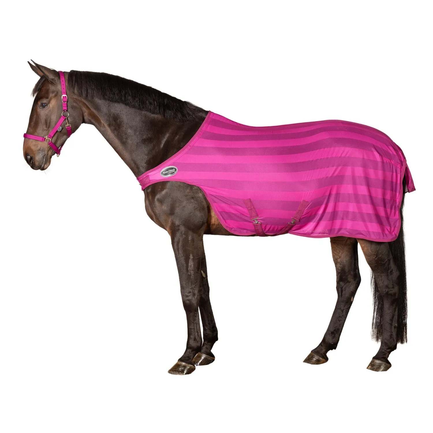 Horse-friends Fliegendecken|Pferdedecken<Fliegendecke Walker Basic