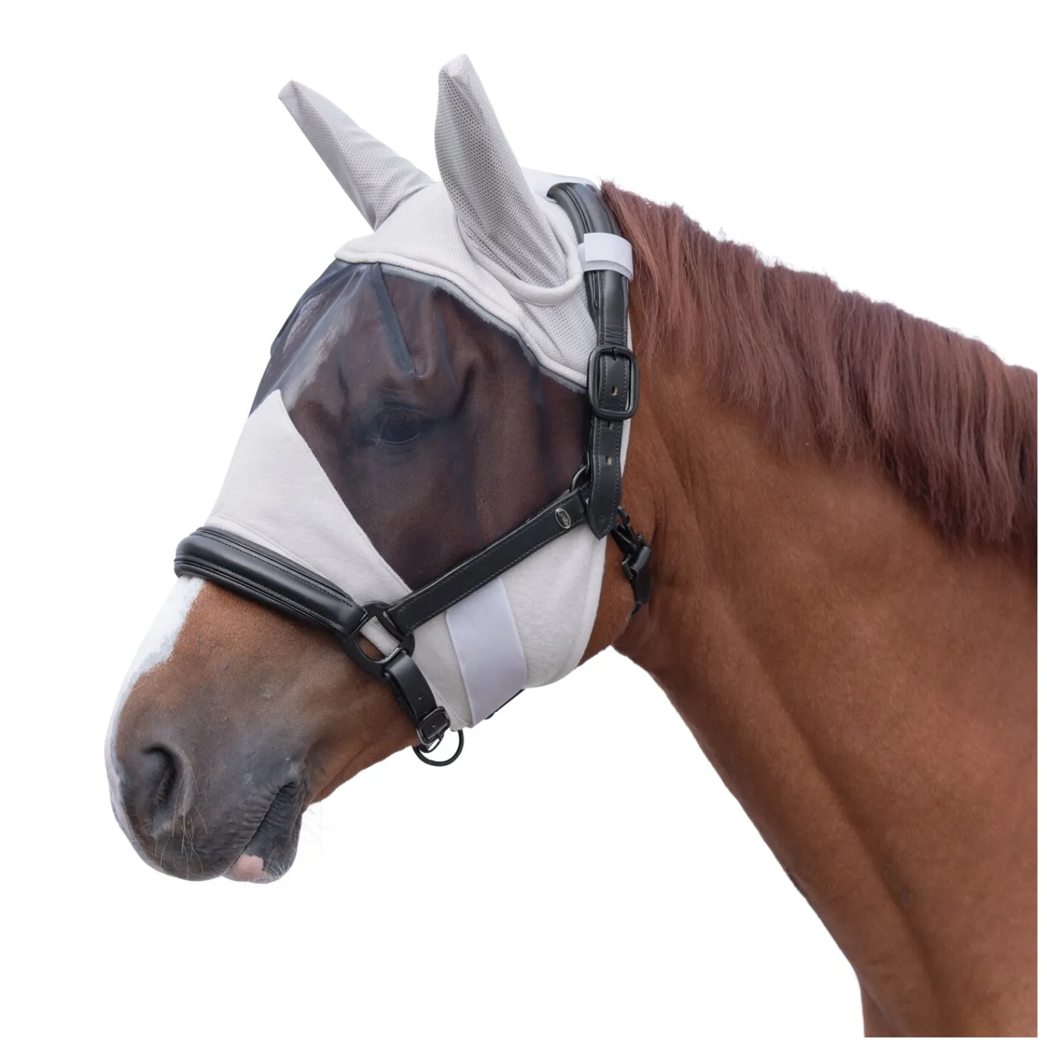 Horse-friends Fliegenmasken<Fliegenmaske Buzz Protect