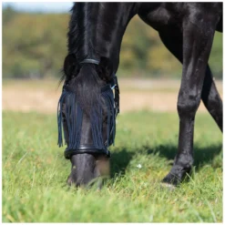 Horse-friends Fliegenstirnbänder<Fliegenstirnband