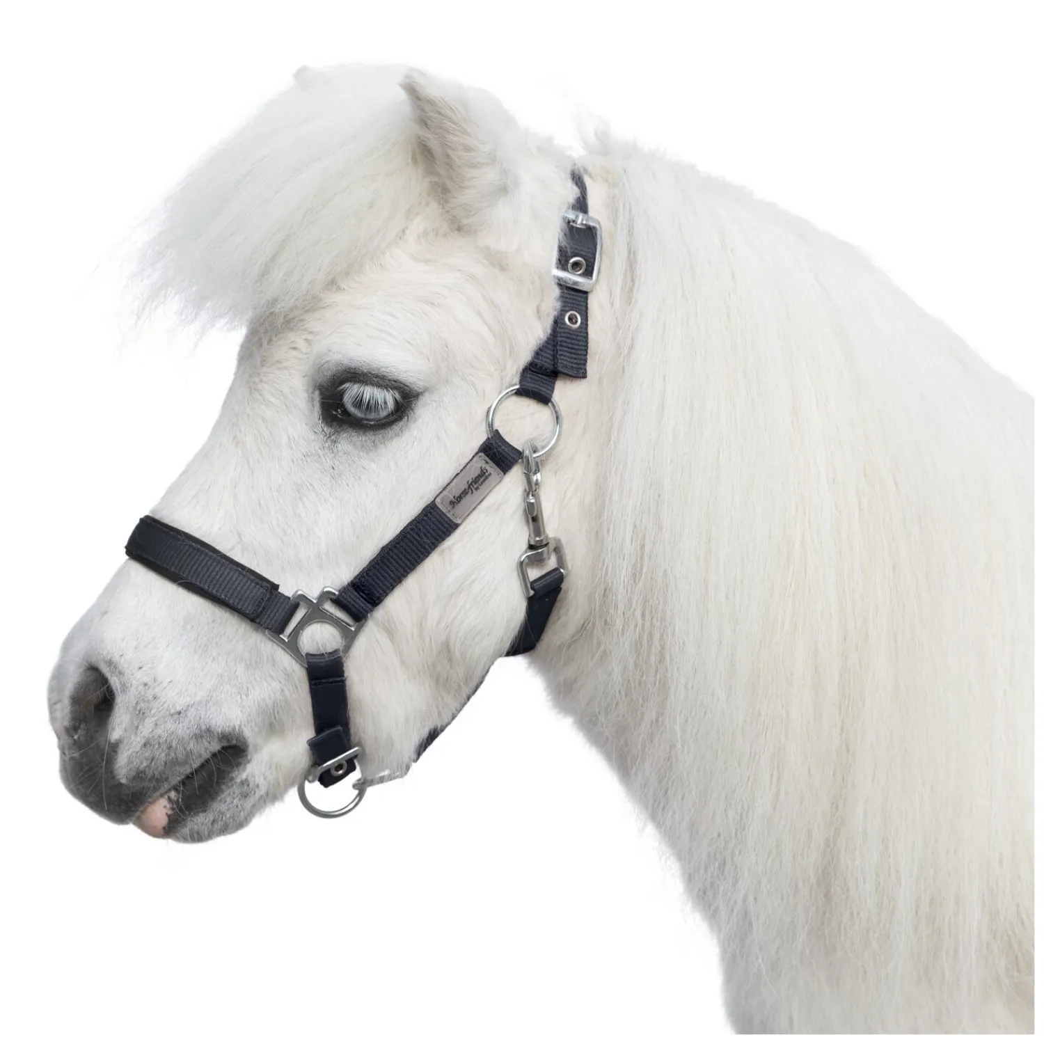 Horse-friends Halfter<Halfter