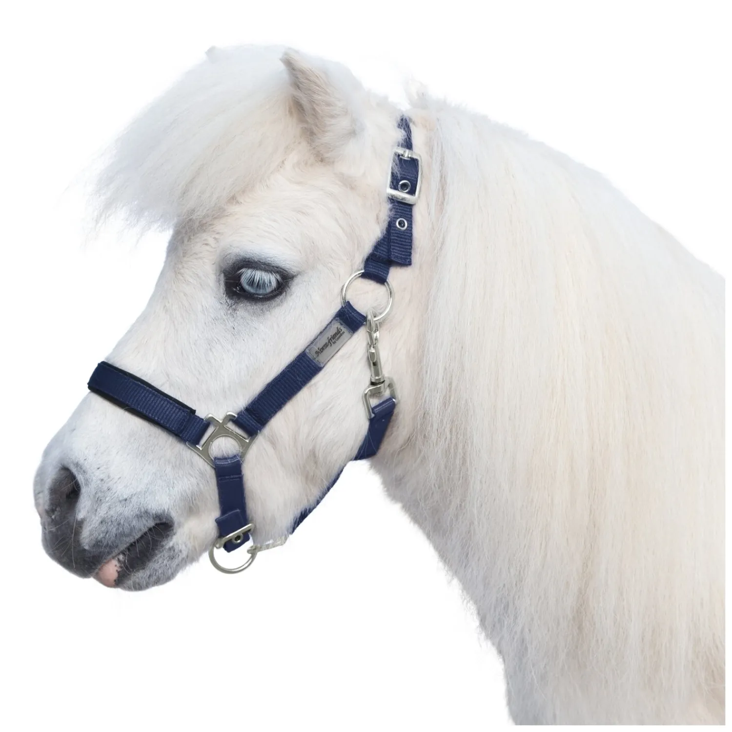Horse-friends Halfter<Halfter