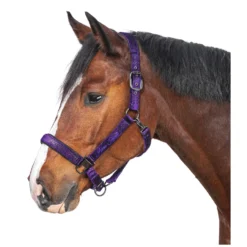 Loesdau Halfter<Horse-friends Halfter Athina