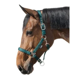 Horse-friends Halfter<Halfter Basic