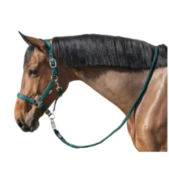 Horse-friends Halfter<Halfter Basic