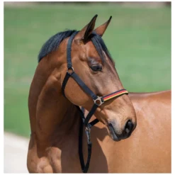 Horse-friends Halfter<Halfter Deutschland WM 2026