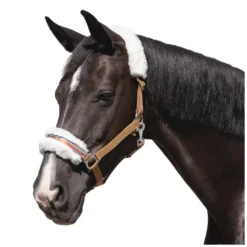 Loesdau Halfter<Horse-friends Halfter Herzilein