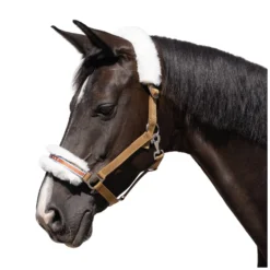 Loesdau Halfter<Horse-friends Halfter Herzilein