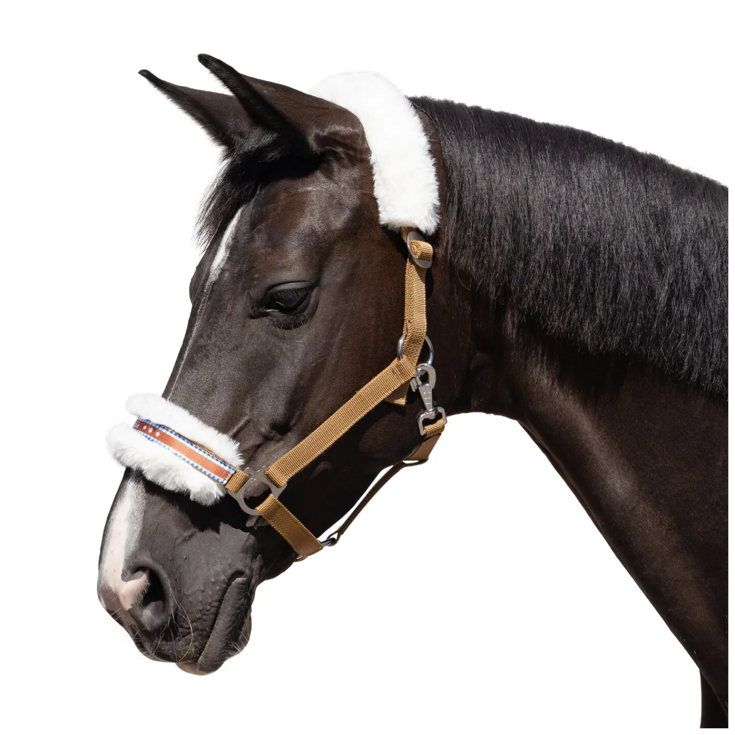 Loesdau Halfter<Horse-friends Halfter Herzilein