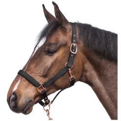 Horse-friends Halfter<Halfter Lima