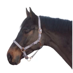 Horse-friends Halfter<Halfter Lima