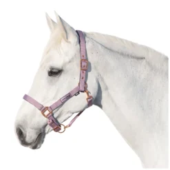 Horse-friends Halfter<Halfter Lima