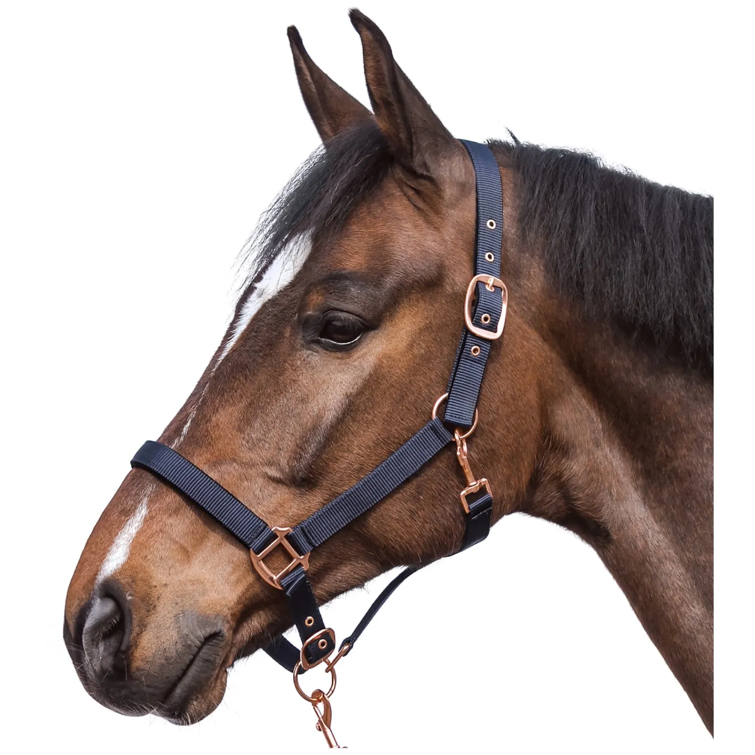 Horse-friends Halfter<Halfter Lima