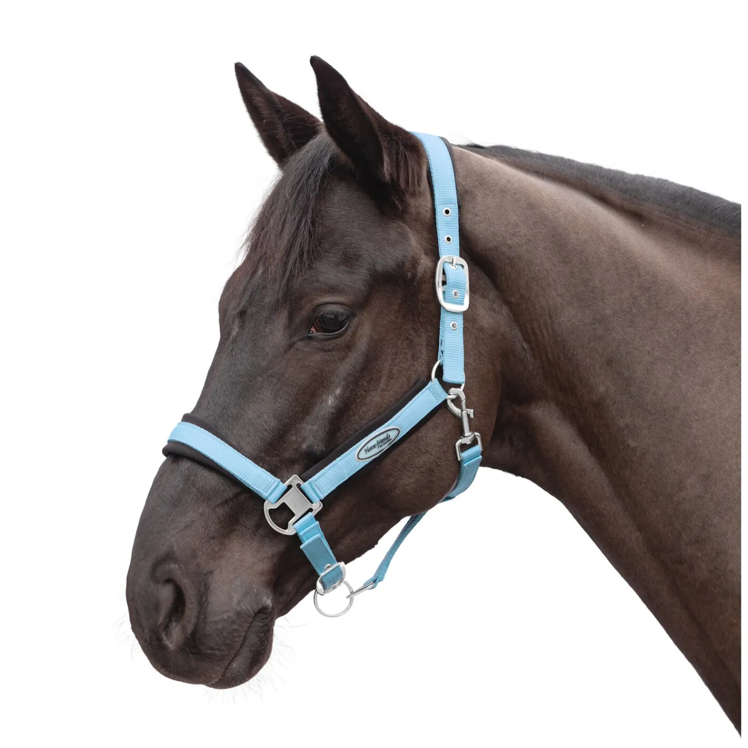 Horse-friends Halfter<Halfter Seattle