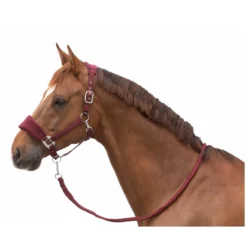 Loesdau Halfter<Horse-friends Halfter-Set Rouen